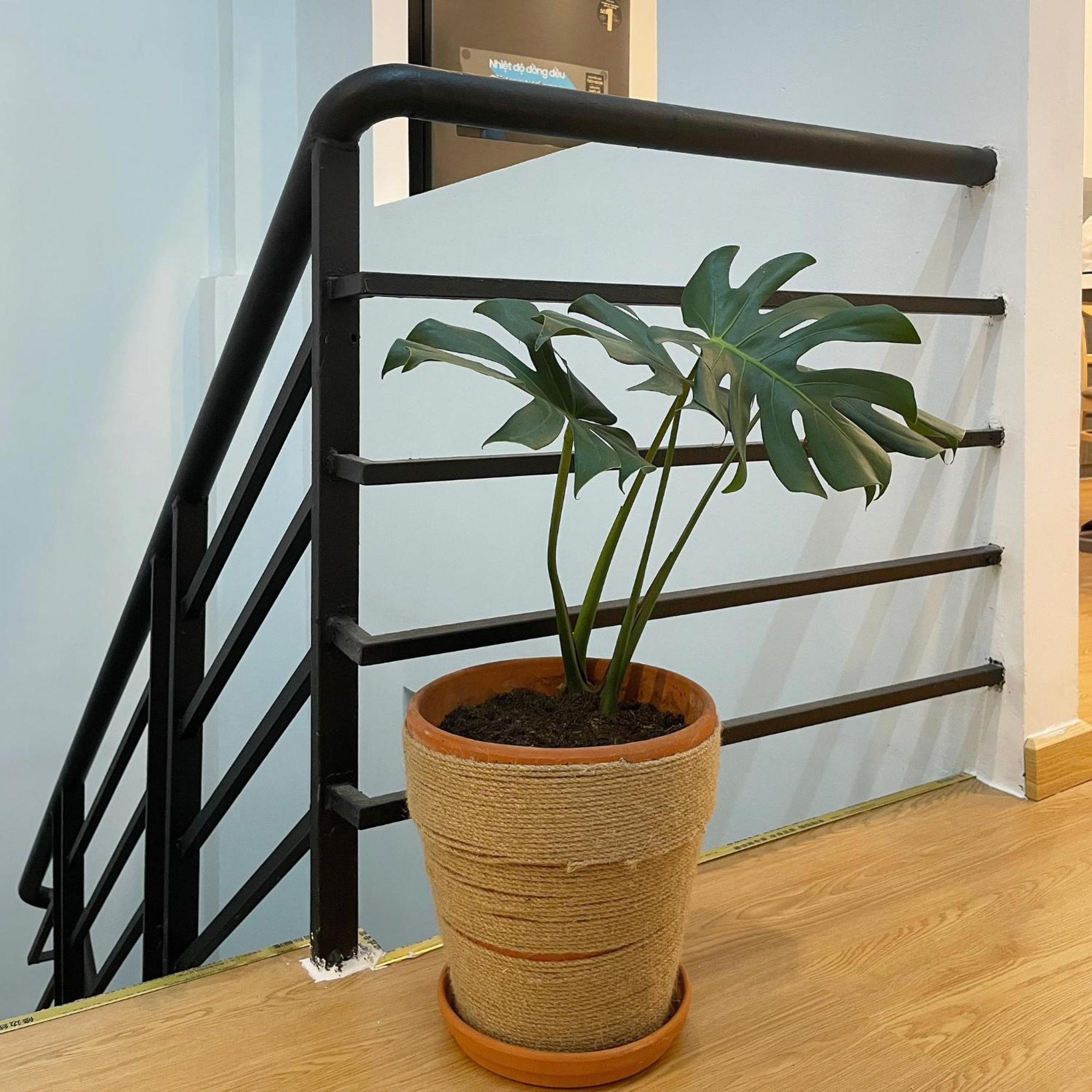 Alphabet Home Capsule Ho Či Minovo Město Exteriér fotografie